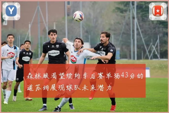 森林狼渴望续约季后赛单场43分的道苏姆展现球队未来潜力
